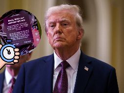 TikTok podría recibir una prórroga para alargar la solicitud de venta y poder mantener el mercado estadounidense. EFE / ERIK S. LESSER / ARCHIVO