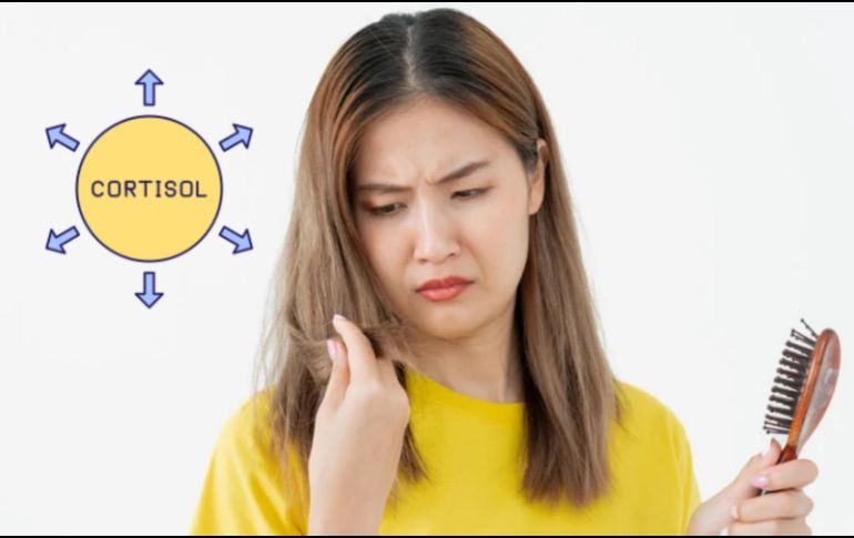 Considera implementar prácticas como meditación, ejercicio moderado, una alimentación equilibrada y establecer rutinas de sueño regulares. CANVA