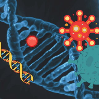 Variantes genéticas de la población protegen contra la gravedad del Covid-19
