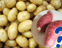 La elección entre ambos dependerá de los objetivos nutricionales y las preferencias personales. UNSPLASH / H. Nguyen / Rens D