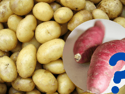 La elección entre ambos dependerá de los objetivos nutricionales y las preferencias personales. UNSPLASH / H. Nguyen / Rens D