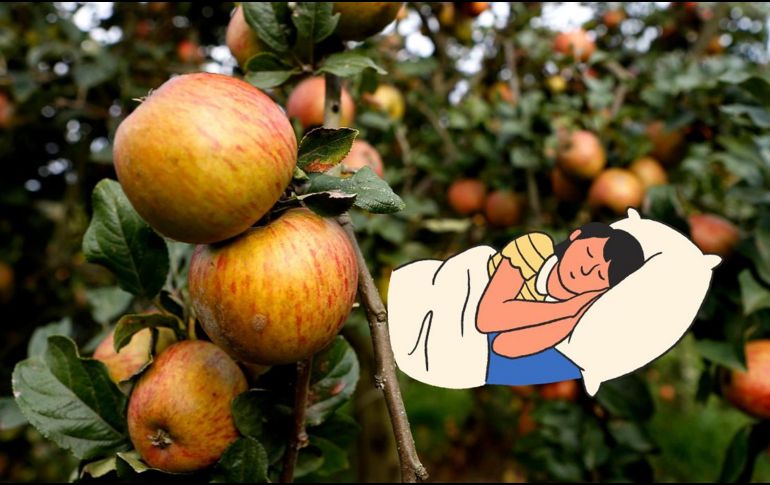 Gracias a la fibra de la manzana se produce una desinflamación del sistema digestivo. NTX / ARCHIVO