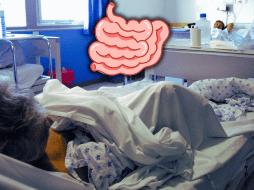 Aunque la inmunidad entrenada puede ser beneficiosa para combatir infecciones, también podría contribuir al desarrollo de enfermedades inflamatorias. EL INFORMADOR / ARCHIVO