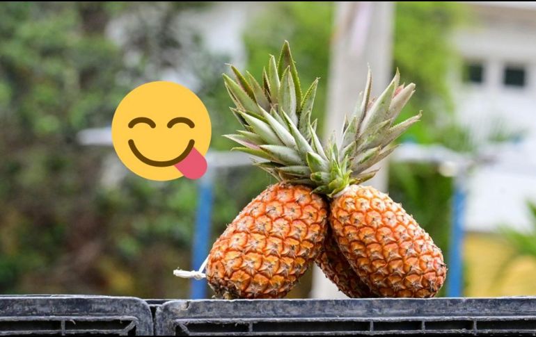 Además, posee una enzima llamada “bromelina”, la cual es la responsable del sabor acidito que se produce en la boca al morderla. UNSPLASH / F. DANTAS