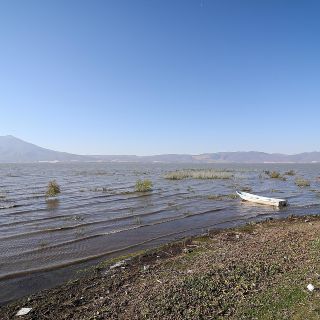Estos son los efectos dañinos que traen las altas temperaturas al Lago de Chapala