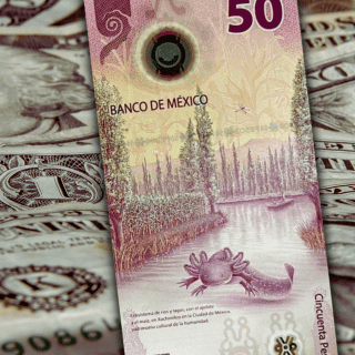 El dólar sube marginalmente frente al peso HOY