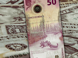 Hoy, la mejor opción en la compra del dólar -en este momento de la mañana- es en Citibanamex y la venta, en Banco Azteca. AFP / ARCHIVO