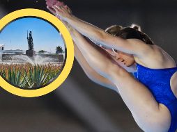 Guadalajara recibirá a los mejores clavadistas del mundo. ESPECIAL / IMAGO7 y CANVA