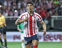 Desde la salida de “Puligol” en las filas del Guadalajara, llegaron un total de 13 delanteros, de los cuales ninguno ha conseguido al menos anotar una doble cifra de goles en un semestre. IMAGO7