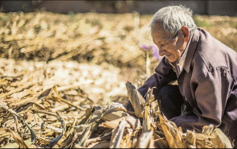 La medida legal pretende preservar la biodiversidad en México. EL INFORMADOR/ Archivo