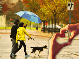 Aunque el amor consumado es el objetivo de muchas parejas, Sternberg advierte que mantener este equilibrio es más complicado que alcanzarlo. AFP / ARCHIVO