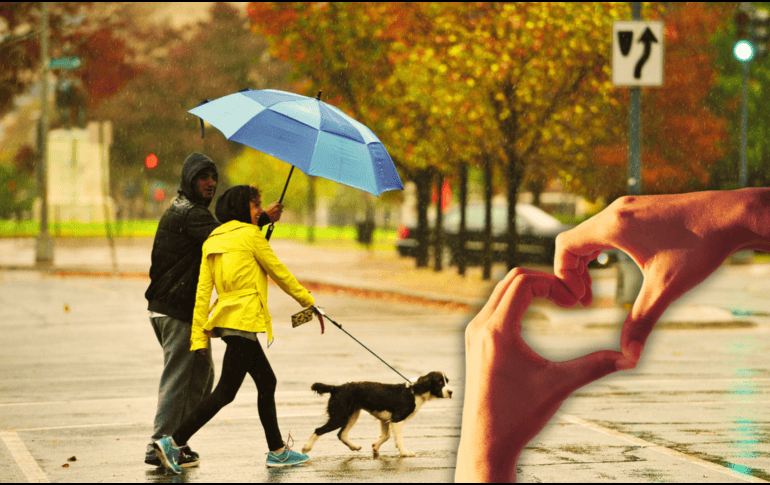 Aunque el amor consumado es el objetivo de muchas parejas, Sternberg advierte que mantener este equilibrio es más complicado que alcanzarlo. AFP / ARCHIVO