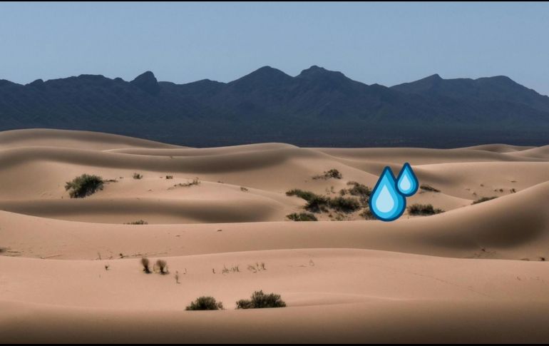 Estos descubrimientos sobre la gran inundación, respaldaron la teoría de un llenado rápido del Mediterráneo tras un largo período de sequía. ESPECIAL / Pexels y Canva