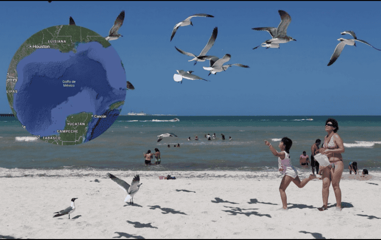 5 estados de México tienen su costa en el Golfo. ESPECIAL / NOTIMEX / EFE / ARCHIVO