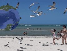 5 estados de México tienen su costa en el Golfo. ESPECIAL / NOTIMEX / EFE / ARCHIVO