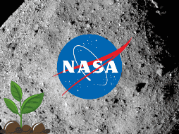 Los científicos descubrieron once minerales en total que probablemente existían en un entorno similar a la salmuera en el cuerpo de Bennu. EFE/ NASA/Goddard/Universidad de Arizona