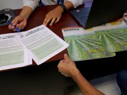 La ventanilla está ubicada en SADER Jalisco, con domicilio en avenida Hidalgo #1435, Piso 2. CORTESÍA.