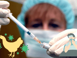 Este anticuerpo garantiza protección inmunitaria que pueda resistir la posible aparición de variantes del virus, similares a las mutantes del SARS-CoV-2. EFE/Jozsef Balaton/ ESPECIAL/ CANVA