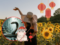 Las previsiones del horóscopo chino muestran que tres signos del zodiaco experimentarán una racha de buena suerte en febrero. ESPECIAL/Imagen de Elmer L. Geissler en Pixabay/Imagen de Stanley QUAH en Pixabay