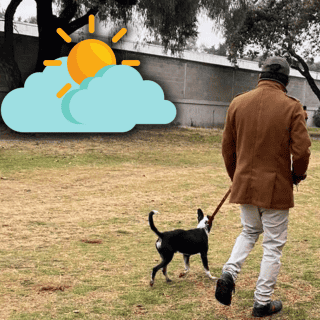 Sol y temperatura fresca para Guadalajara este sábado