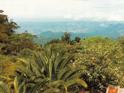Pluma Hidalgo. Paisaje de esta zona ubicada en la Sierra Madre del Sur de Oaxaca. ESPECIAL