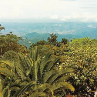 Destinos para conectar con la naturaleza en 2025