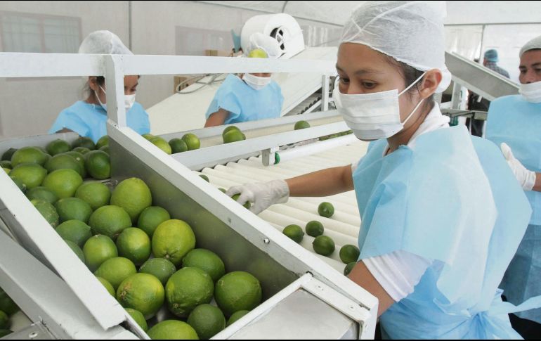 Empresas mexicanas están en desventaja. NOTIMEX