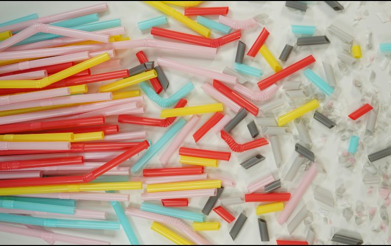 Estos son los últimos estudios sobre la presencia de microplásticos en cuerpos humanos. ESPECIAL / UNSPLASH FlyD