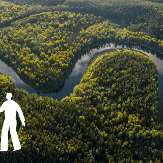 Países amazónicos buscan fortalecer políticas ambientales