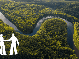 La OTCA desempeña un papel importante en la protección de la Amazonia y el desarrollo de estrategias sostenibles para la región. UNSPLASH / I. Utināns