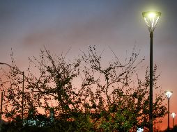 El alcalde envió un mensaje a la ciudadanía para instarlos a proteger sus luminarias y colaborar en mantenerlas en buen estado. EL INFORMADOR/ H. Figueroa.