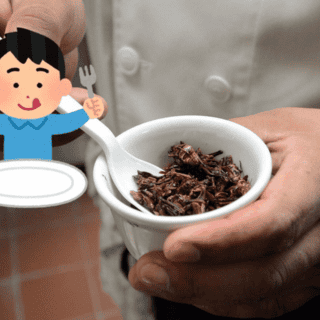 ¿Cuáles son los beneficios de comer insectos?