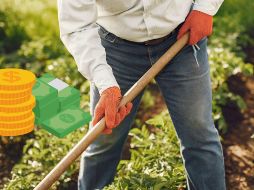 El proceso de incorporación será publicado en la página oficial de la Secretaría de agricultura y desarrollo rural. CANVA / ESPECIAL