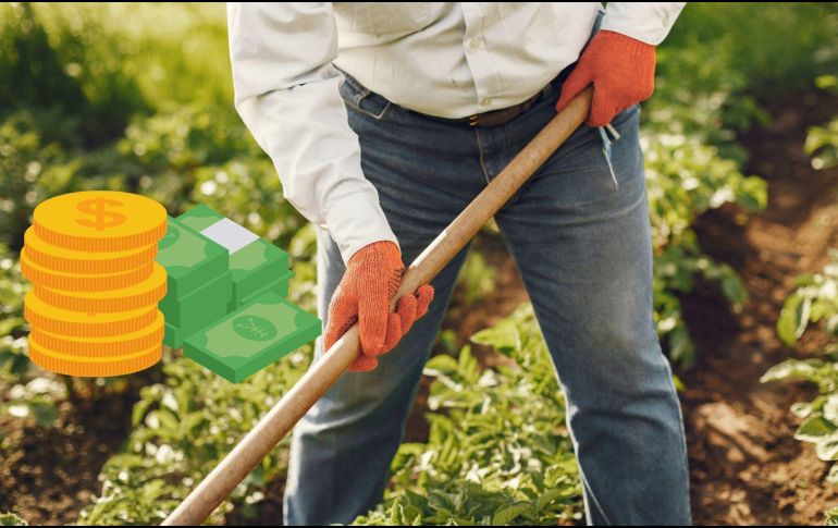 El proceso de incorporación será publicado en la página oficial de la Secretaría de agricultura y desarrollo rural. CANVA / ESPECIAL