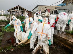 Entierran a víctimas del conflicto en un cementerio de Goma. EFE