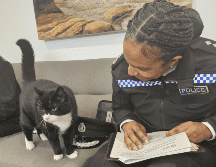 Descubre la historia del gato Palmerston. ESPECIAL / X @DiploMog