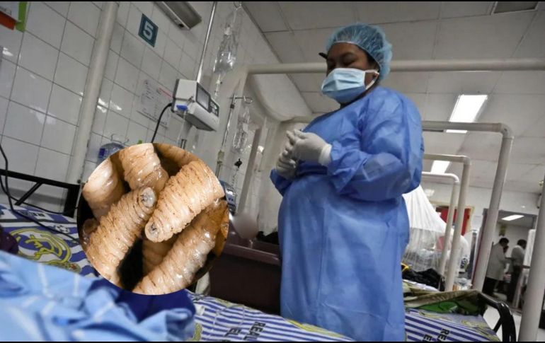 El paciente trabaja con ganado y presenta una 