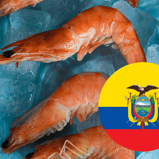 ¿Cuál es la mayor exportadora de camarones en Ecuador?