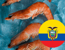 La empresa líder genera empleos para 18 mil personas de forma directa. UNSPLASH / AM FL