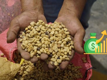 El café seguirá subiendo de precio según expertos de Brasil. EFE / ARCHIVO