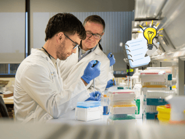 Investigadores podrían encontrar un fármaco que ayude a tratar el diabetes tipo 2 en personas con obesidad. EFE/ R. Manzanares