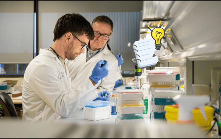 Investigadores podrían encontrar un fármaco que ayude a tratar el diabetes tipo 2 en personas con obesidad. EFE/ R. Manzanares