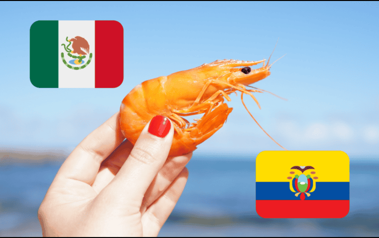 Decidir cuál es el mejor sólo depende del uso que les quieras dar y de tu gusto personal. Canva