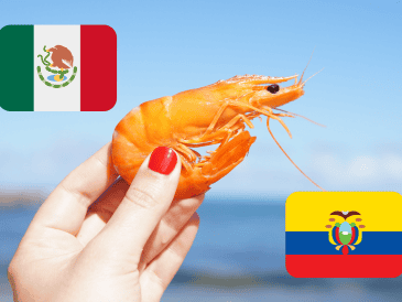 Decidir cuál es el mejor sólo depende del uso que les quieras dar y de tu gusto personal. Canva