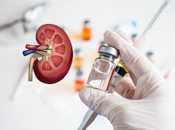 Consideran que el trabajo 