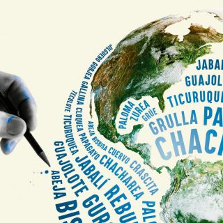 Palabras para ensanchar el mundo