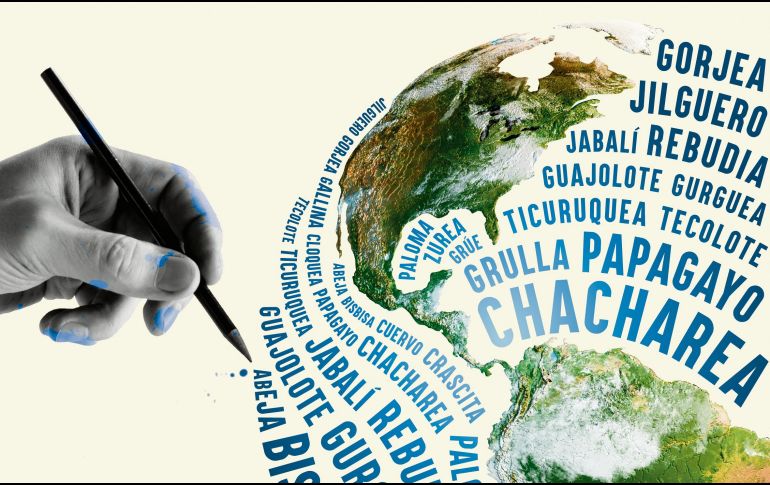 Las palabras son signos para comprender el mundo. CORTESÍA/Fernanda González