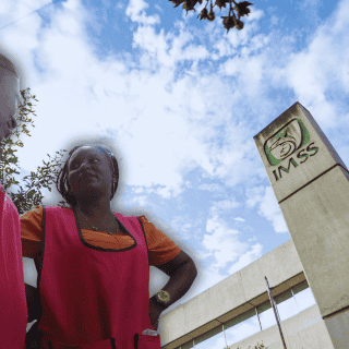 ¿Qué personas que trabajan por su cuenta se afilian más al IMSS?