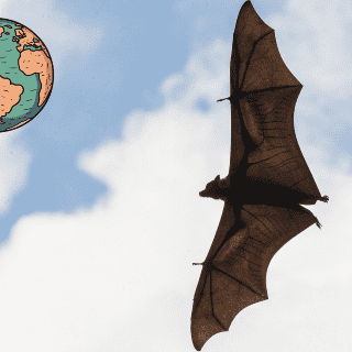 Murciélagos mexicanos también habitan las tierras de Arizona