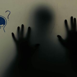 Científicos descubren el mecanismo cerebral que ayuda a superar el miedo